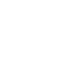 introducing brokers ico