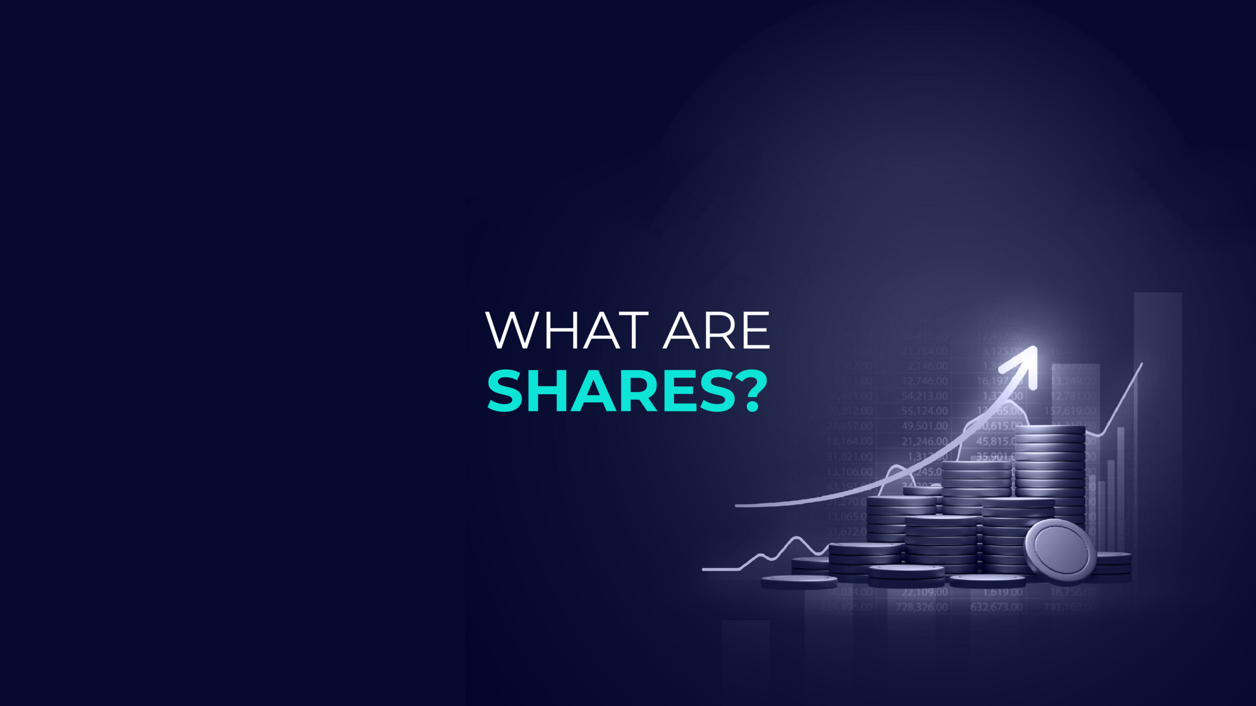What Are Shares?