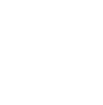 introducing brokers ico