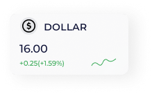 dollar mockup