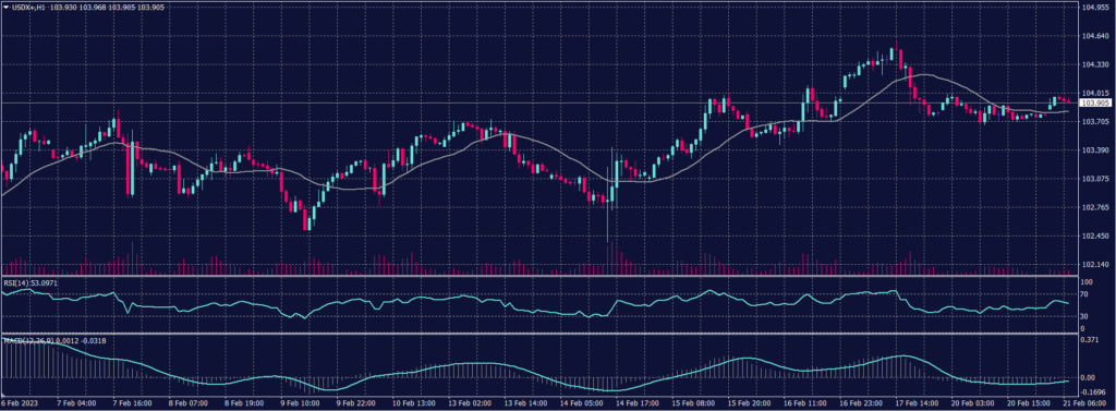 USDX 21