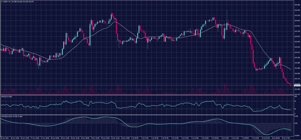 USDX 11